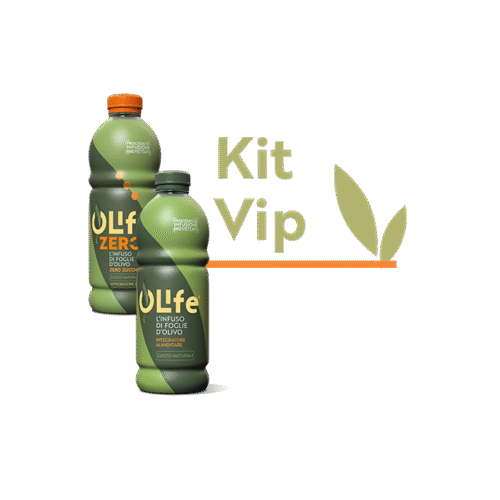 Kit Vip 12 bottles 1000 ml