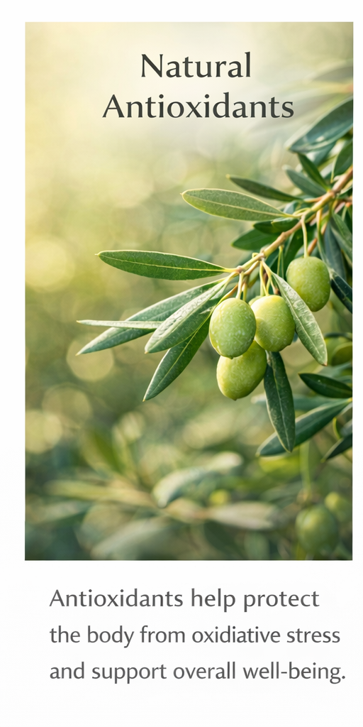 natural antioxidants olive tree wellness